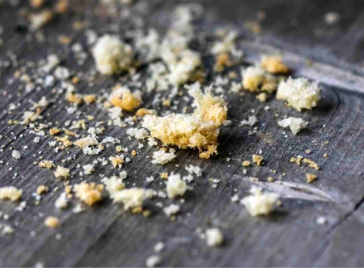 Aspirabriciole e polvere in auto a 19,99 euro