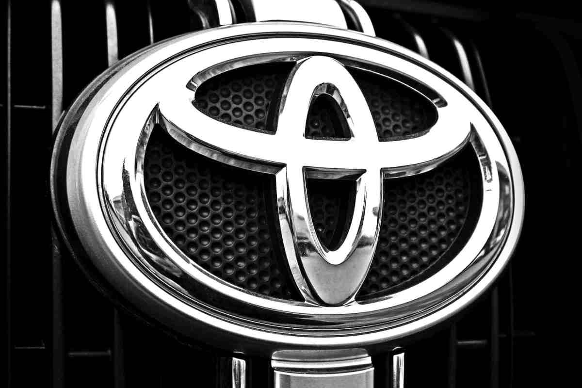 Con l'intensificarsi della crisi, si sono diffuse voci su una possibile acquisizione di Neta da parte di Toyota