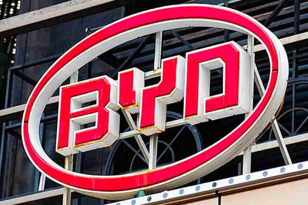 BYD novità