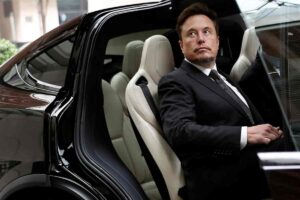 Elon Musk problema Robotaxi