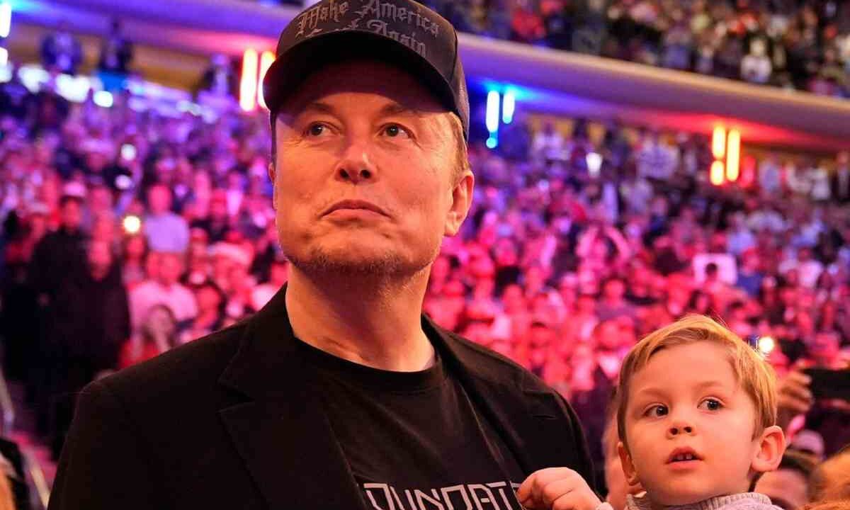 Tesla Robotaxi problemi nome