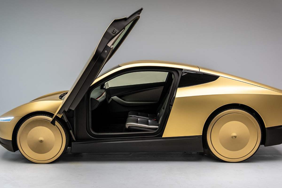 Elon Musk problema Robotaxi