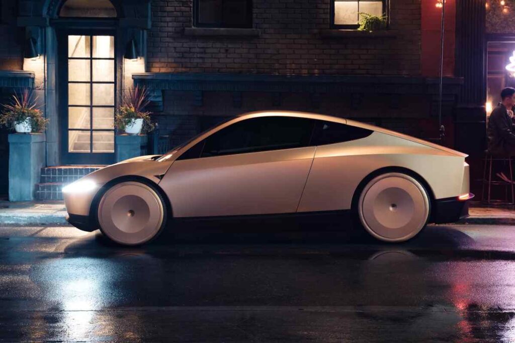 Tesla Robotaxi problemi nome