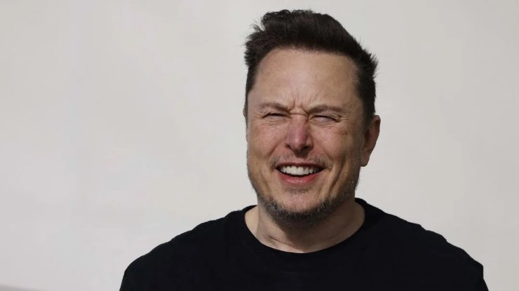 Elon Musk calo
