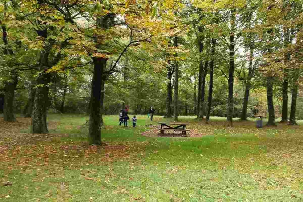 Parco