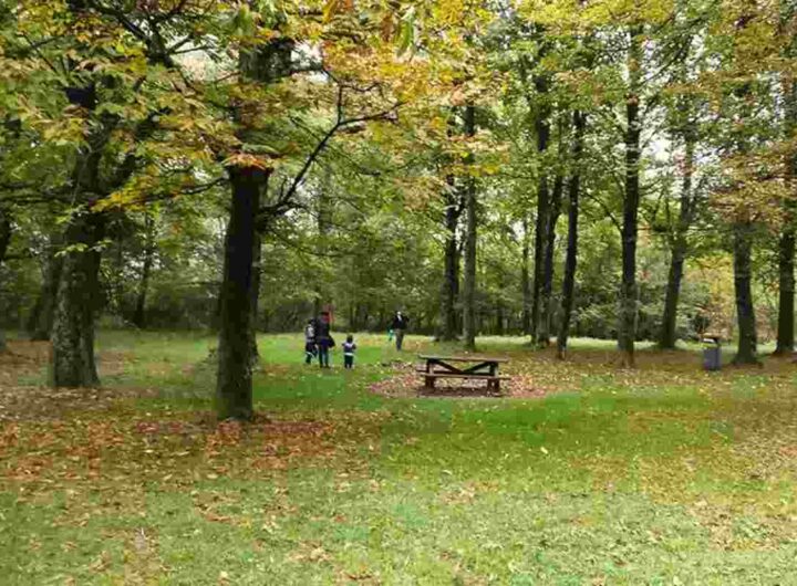 Parco