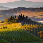 Colline del Chianti