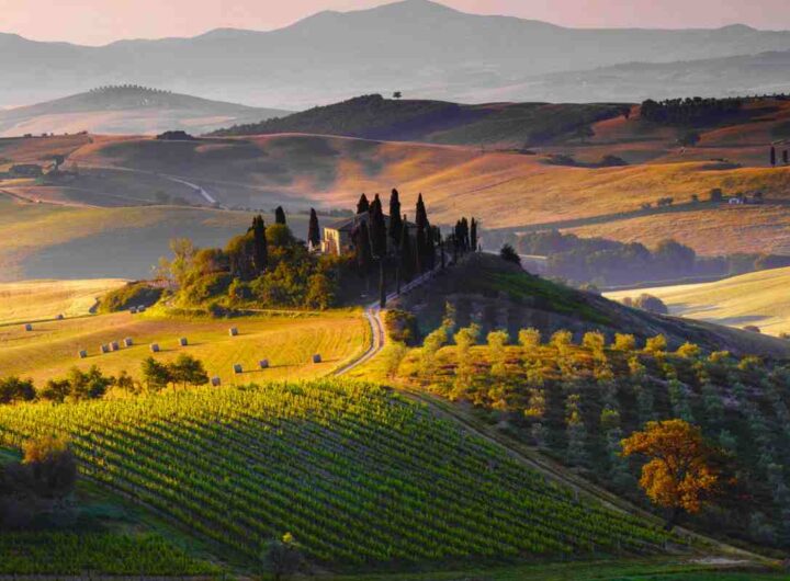 Colline del Chianti