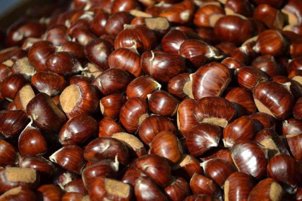 Sempre autunno a Melezzole: il borgo delle castagne.