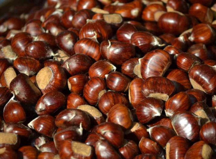 Sempre autunno a Melezzole: il borgo delle castagne.