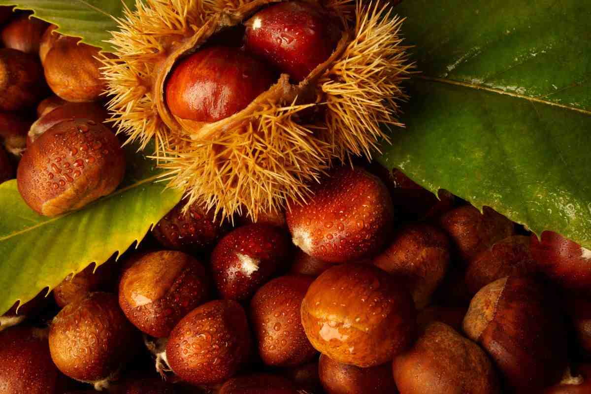 Sempre autunno a Melezzole: il borgo delle castagne.