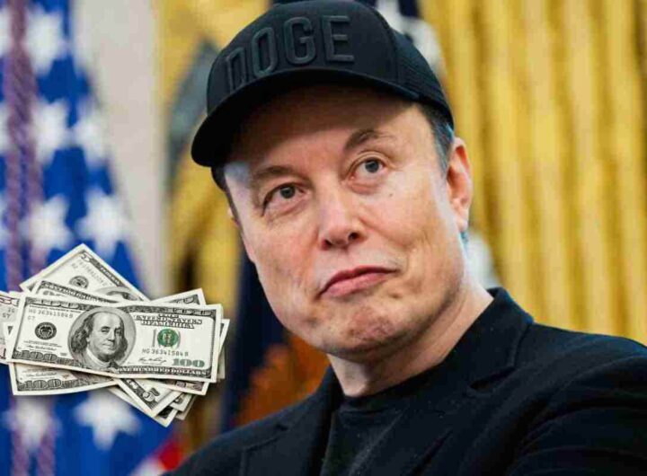 Elon Musk incassi